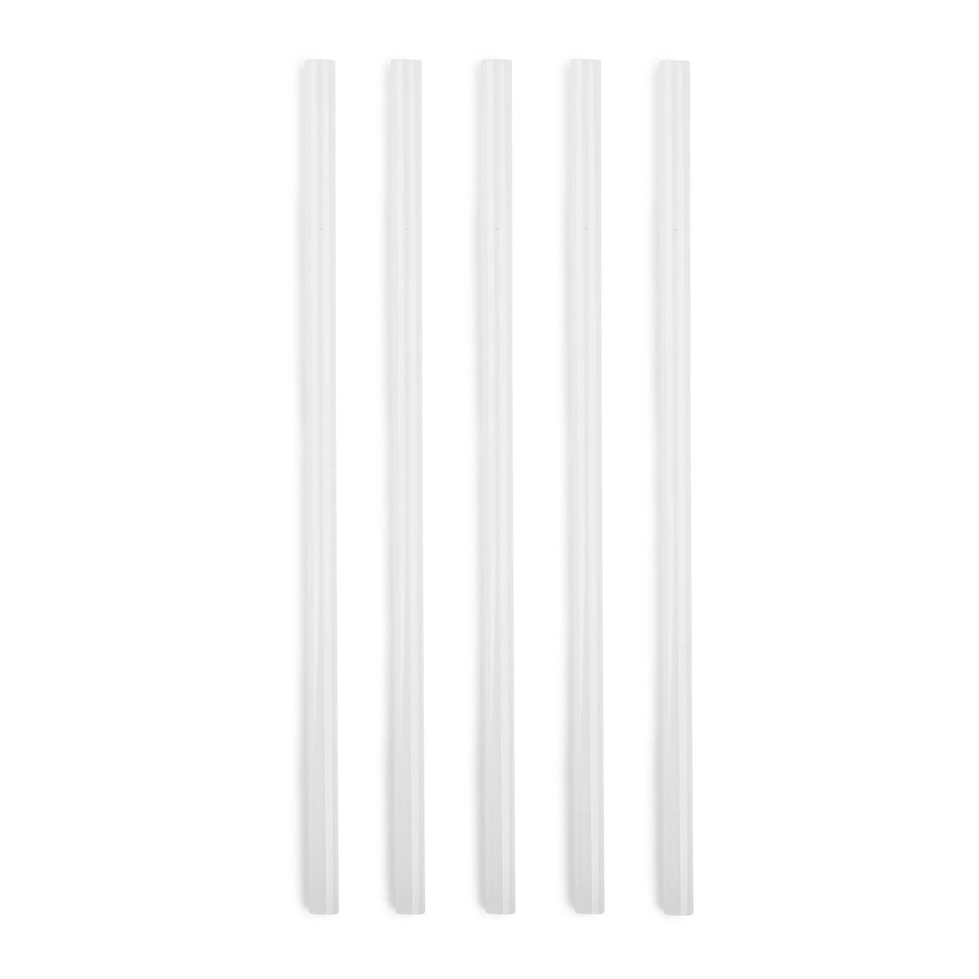 5-piece-replacement-straw-set-for-titan-3l-135-oz-p5 SPY2010_02.jpg